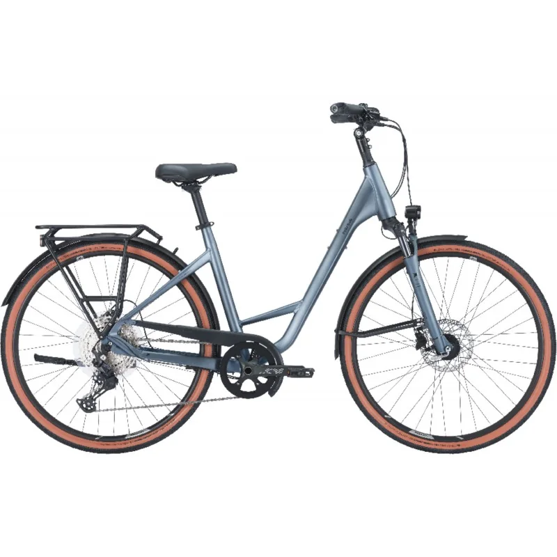 Achat Pegasus Premio SL Disc 12 metallic grey -Val de Loire Vélo Tours