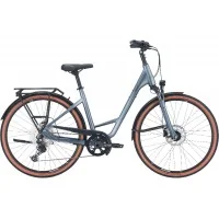 Achat Pegasus Premio SL Disc 12 metallic grey -Val de Loire Vélo Tours