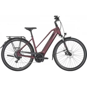 Achat Pegasus Solero Evo 9 625wh rouge rubis -Val de Loire Vélo Tours