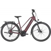 Achat Pegasus Solero Evo 9 625wh rouge rubis -Val de Loire Vélo Tours