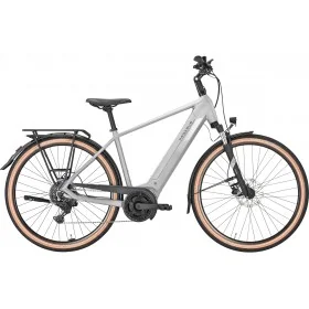 Achat Pegasus Solero Evo 9 500wh homme gris -Val de Loire Vélo Tours