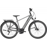Achat Pegasus Premio Evo 10 750wh homme chrome noir mat -Val de Loire Vélo Tours