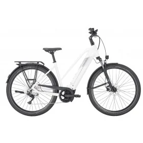 Achat Pegasus Premio Evo 10 750wh trapèze métallique blanc cassé mat -Val de Loire Vélo Tours