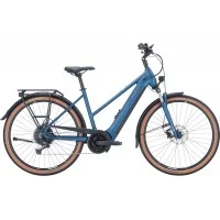 Achat Pegasus Premio Evo 9 750wh trapèze essence foncée -Val de Loire Vélo Tours