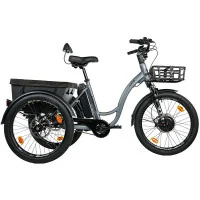 Achat Leader Fox Tricycle Curtis X 24" 602wh gris -Val de Loire Vélo Tours