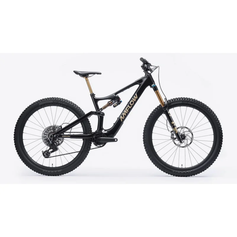 Achat Amflow PL Carbon Pro 800wh -Val de Loire Vélo Tours