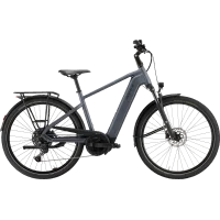Achat Pegasus Solero EVO 10 Bleu -Val de Loire Vélo Tours