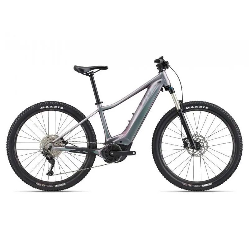 Achat Liv Vall E+ 2 500wh Echeveria -Val de Loire Vélo Tours