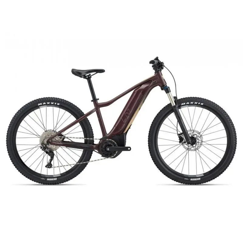 Achat Liv Tempt E+ 1 500wh figuier -Val de Loire Vélo Tours