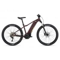 Achat Liv Tempt E+ 1 500wh figuier -Val de Loire Vélo Tours