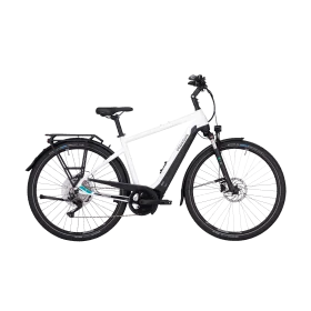 Achat Pegasus Premio Evo 10 Lite 400wh -Val de Loire Vélo Tours