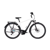 Achat Pegasus Premio Evo 10 Lite 400wh -Val de Loire Vélo Tours
