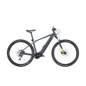 Achat Bulls LT CX Evo 29" 750wh gris -Val de Loire Vélo Tours