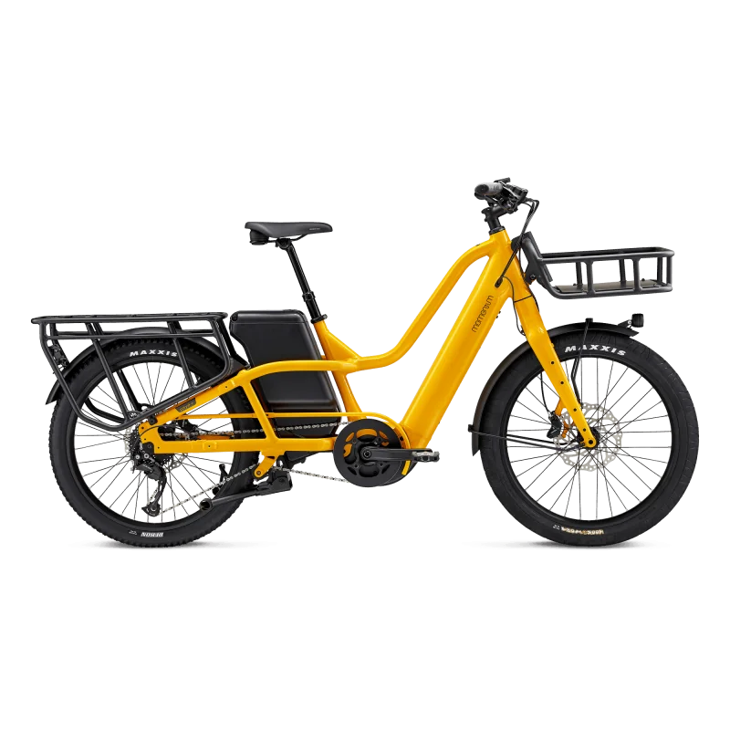 Achat Momentum PakYak E+ Personnalisable -Val de Loire Vélo Tours