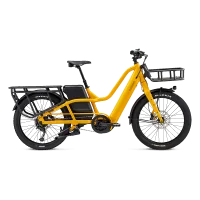 Achat Momentum PakYak E+ Personnalisable -Val de Loire Vélo Tours