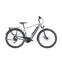 Achat Pegasus Evo CX Argent Diamant 625wh Smart System -Val de Loire Vélo Tours