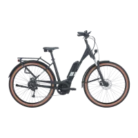 Achat Pegasus Solero E9 Sport Wave CX 545wh Smart System -Val de Loire Vélo Tours