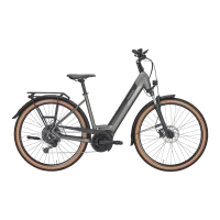 Achat Pegasus Solero Evo 10 Wave 750wh -Val de Loire Vélo Tours