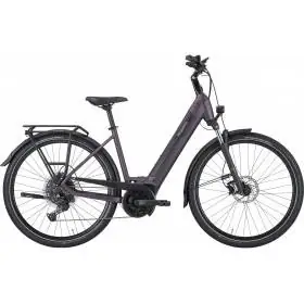 Achat Pegasus Solero Evo 10 500wh wave violet -Val de Loire Vélo Tours